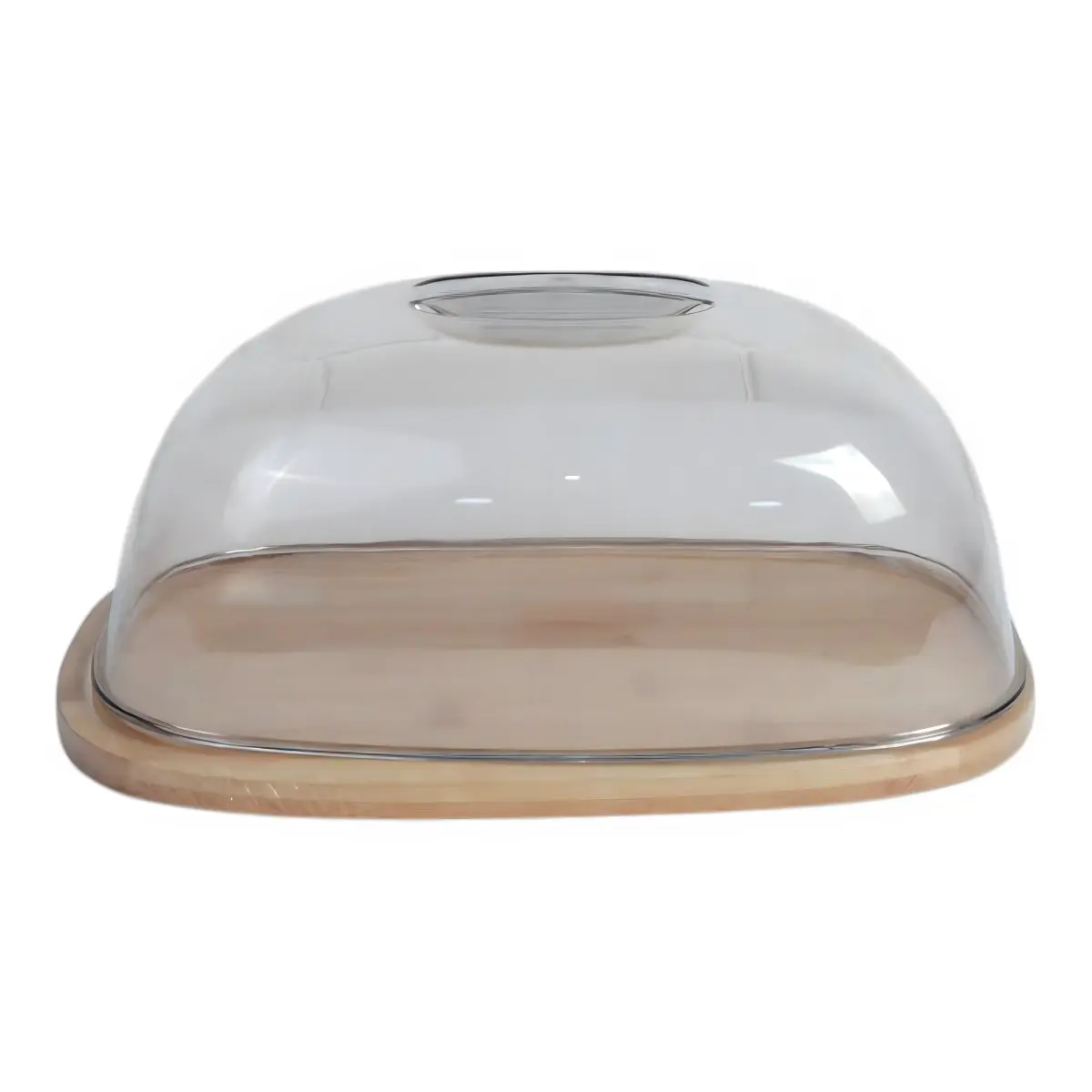 AHI 66-6 Cake Container