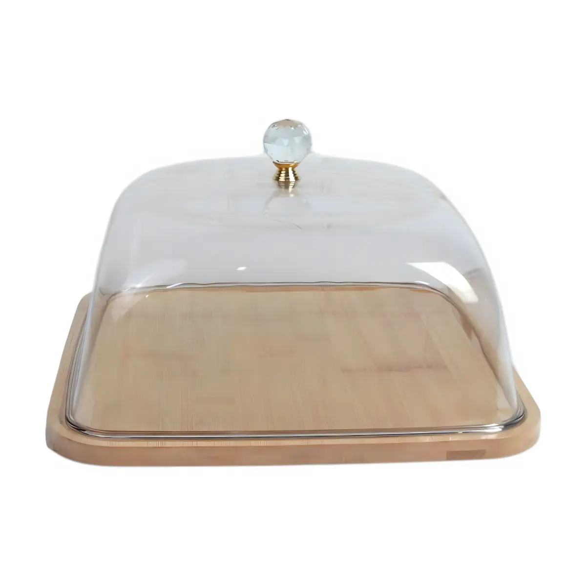 AHI 66-10 Cake Container